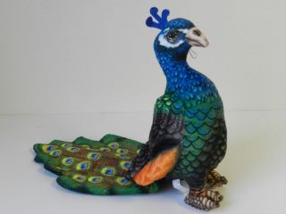 Obrázek z Páv plyš 35cm (24) 